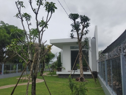 Gợi ý về địa điểm chuyên bán cây xanh công trình số lượng lớn