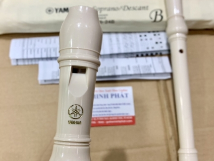 Địa chỉ cửa hàng bán sáo Recorder giá rẻ ở quận Bình Tân TPHCM