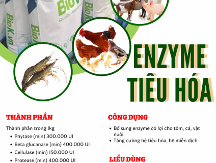 Enzyme tiêu hóa Biok ( dùng cho thủy sản và vật nuôi)