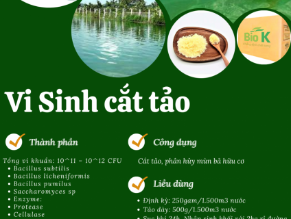 Vi sinh cắt tảo Biok ( dùng trong thủy sản)