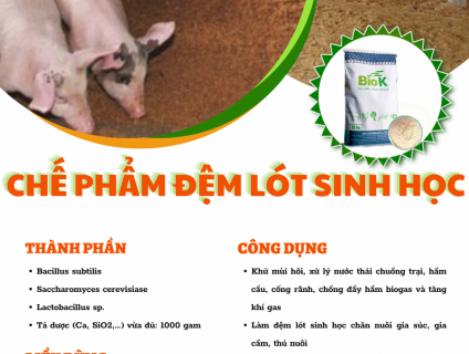 Chế phẩm đệm lót sinh học Biok