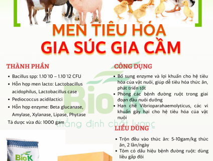 Men tiêu hóa gia súc gia cầm Biok