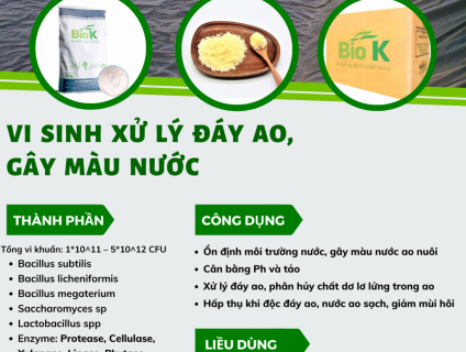 Vi sinh xử lý đáy ao, gây màu nước BIOK