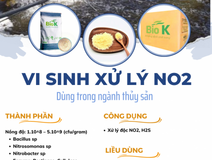 Vi sinh xử lý NO2, xử lý khí độc trong ao nuôi