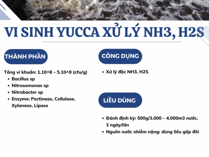 Vi sinh Yucca xử lý NH3, H2S ( xử lý khí độc trong ao nuôi )