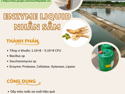 Enzyme liquid nhân sâm BIOK ( Gây màu nước , tạo môi trường nước ổn đị