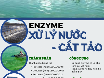 Enzyme xử lý nước - cắt tảo BIOK