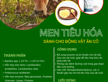 Men tiêu hóa động vật ăn cỏ BIOK