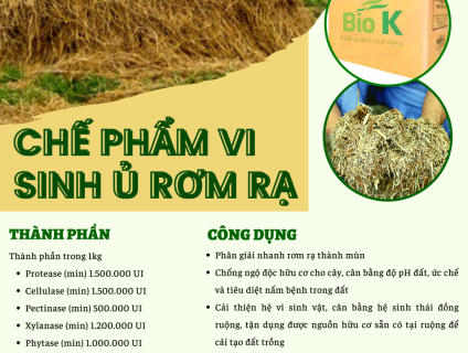 Chế phẩm vi sinh ủ rơm rạ Biok