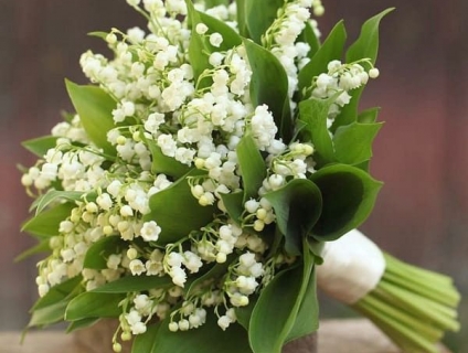 Mẫu hoa kỷ niệm ngày cưới vô cùng ý nghĩa