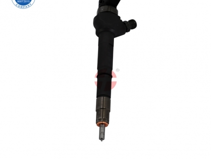 0445110689 cho Kim phun nhiên liệu efi diesel