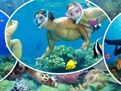 Du Lịch Phú Quốc + TeamBuilding