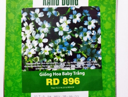 Đại lý phân phối Bông Hoa trồng trang trí Tết