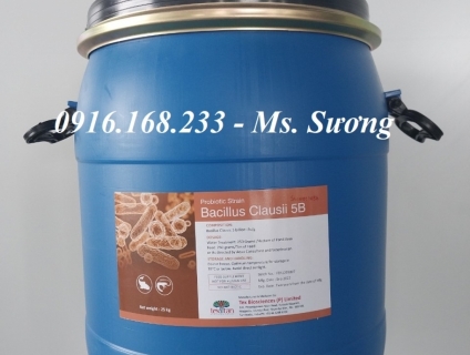 BACILLUS CLAUSII 5B - Vi sinh đơn dòng xử lý nước và hỗ trợ tiêu hóa