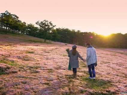 Đà Lạt + Team Building