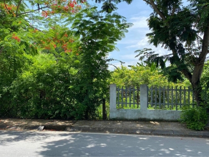 Bán lô đất mặt tiền Dương Văn Hạnh, Lý Nhơn, Cần Giờ