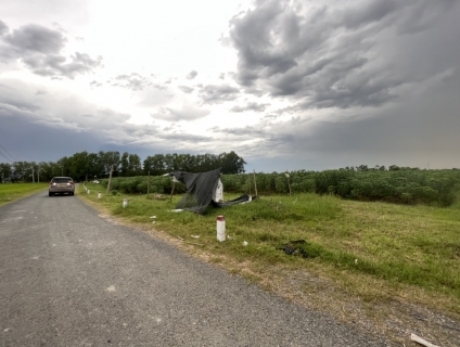 Bán lô đất đường 319A, Ấp Long Hưng, Long Thuận, H.Bến Cầu, Tây Ninh