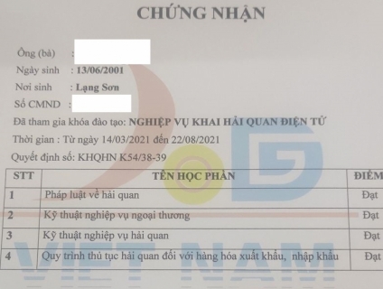 Lớp Nghiệp Vụ Khai Hải Quan Điện Tử (học online)
