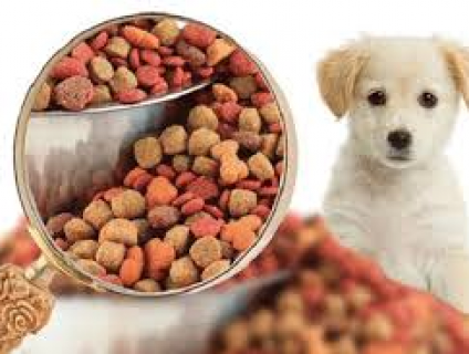 Thức ăn khô cho chó 2 tháng tuổi giàu dinh dưỡng