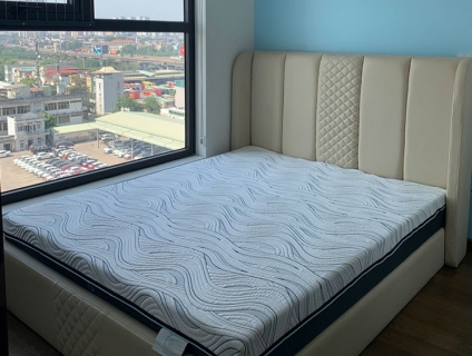 Đệm Foam - Cao su tổng hợp Darius - 903 Tam Trinh