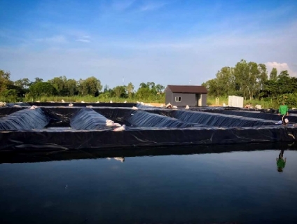 Một số thông tin về bạt chống thấm nước mà bạn nên biết