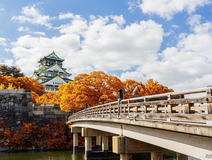 Vivu Hàn Quốc & Nhật Bản cùng với SUNSHINEVN