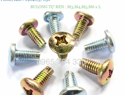 BULONG TỰ REN: M3, M4, M5, M6 X L