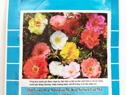 Hạt giống hoa mười giờ mỹ kép nở siêu lâu mix Por013