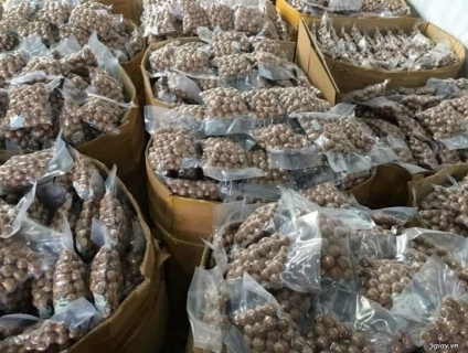 Hạt dinh dưỡng - giao hàng trong 24h.