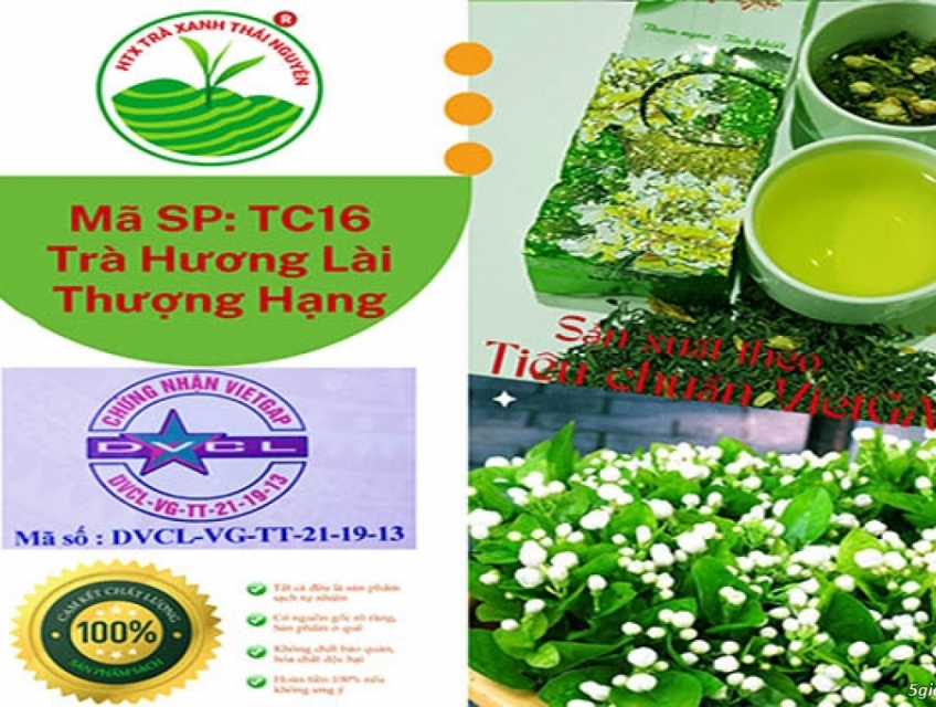 Tại sao Chè Thái Nguyên loại 1 nên mua?