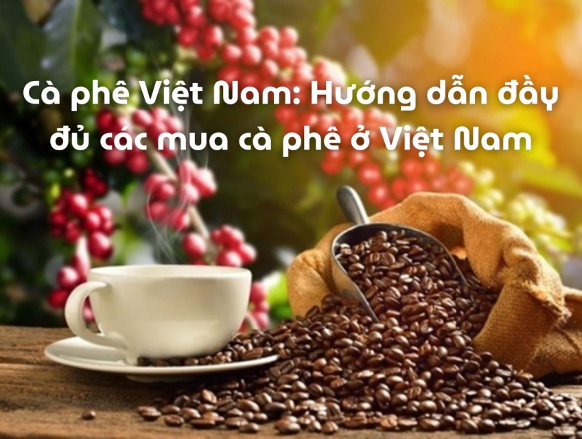 Cà phê ở Việt Nam