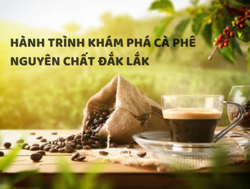 Cà Phê Nguyên Chất Đắk Lắk - Hương Vị Tuyệt Vời Từ Trái Cà Phê