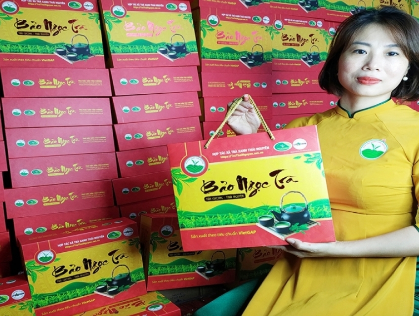 Chè Thái Nguyên - Bí mật của sự tỉ mỉ và tận hưởng