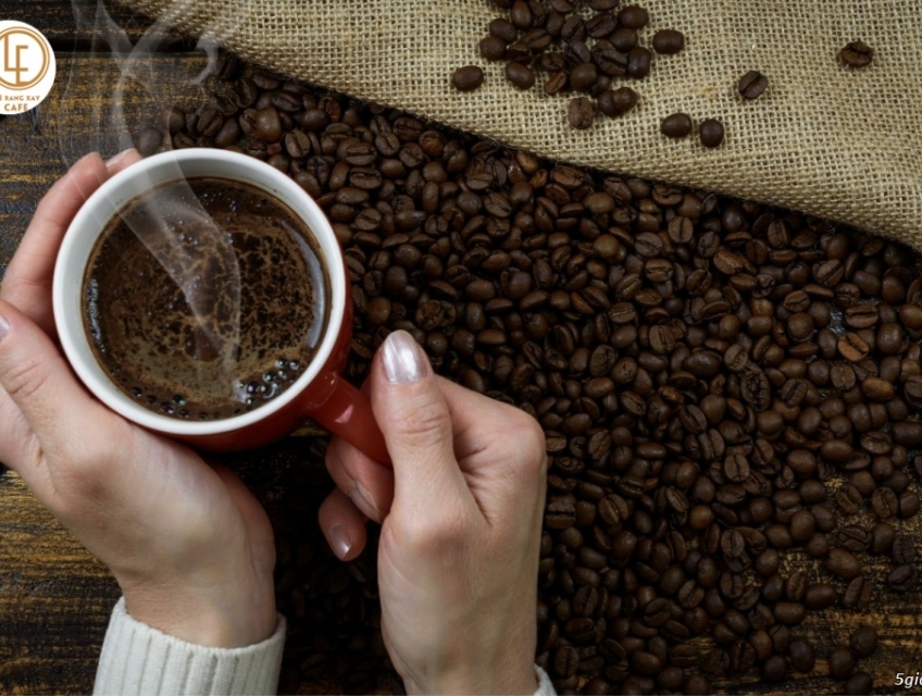 "Cà Phê Đắng: Hương Vị Tinh Tế Từ Sự Hoàn Hảo Của Đắk Lắk"