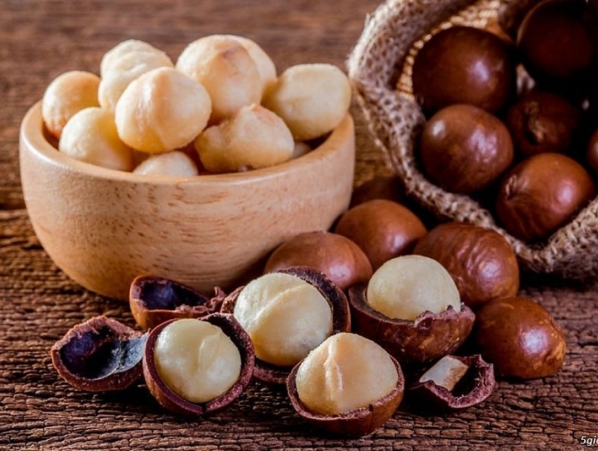 Mắc Ca Đắk Lắk – Hàng loại 1