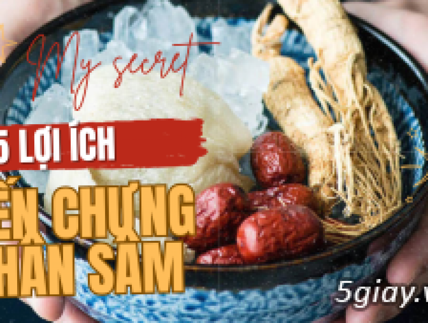 Bạn đã biết lợi ích yến chưng nhân sâm chưa?