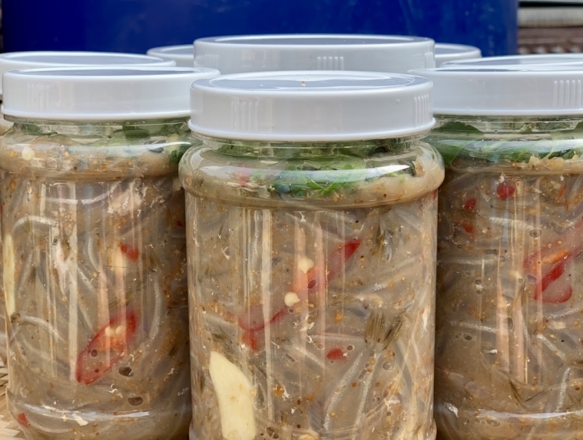 Đặc Điểm Nổi Bật của Mắm Cá Cơm nhà PoMi: ✅ Được sản xuất từ cá cơm