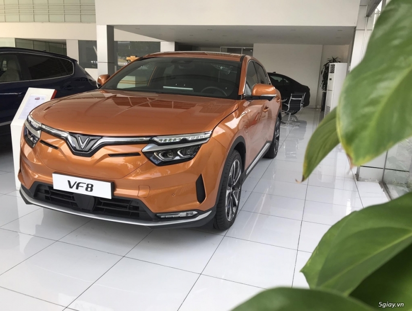 THU MUA XE CŨ GIÁ CAO