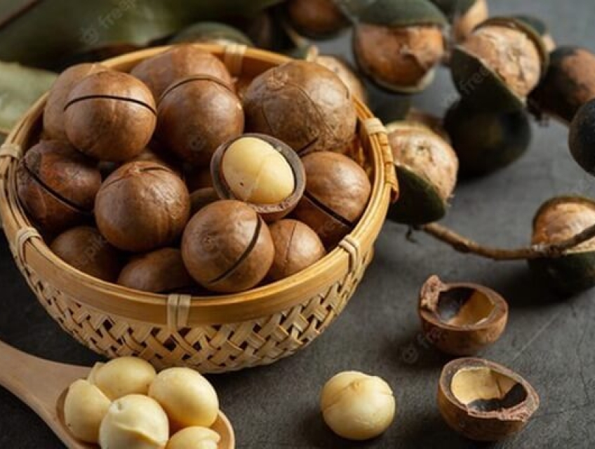 Hạt Macca Và Hạt Óc Chó Cái Nào Tốt Cho Sức Khỏe Hơn