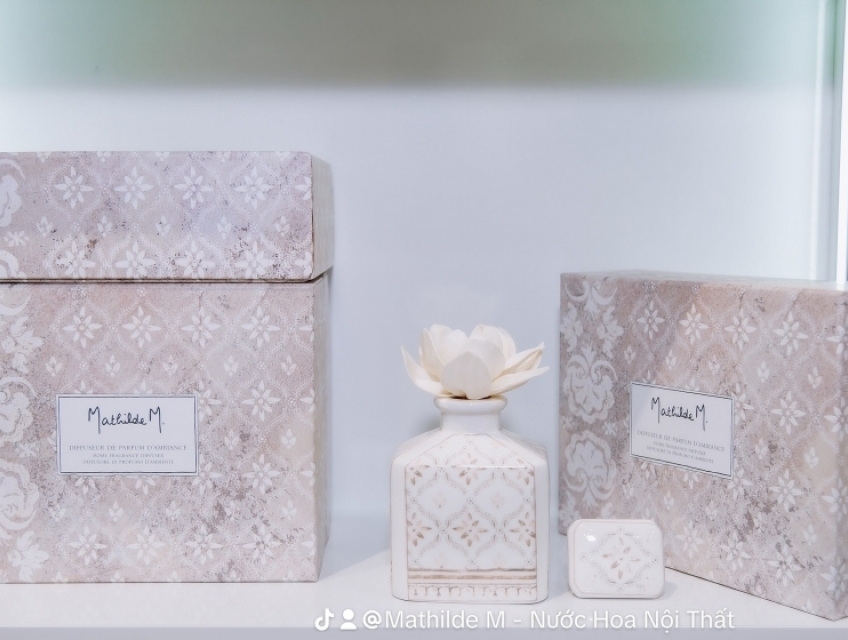 ✨ ̛̛́  ̣̂ ̣̂   ✨