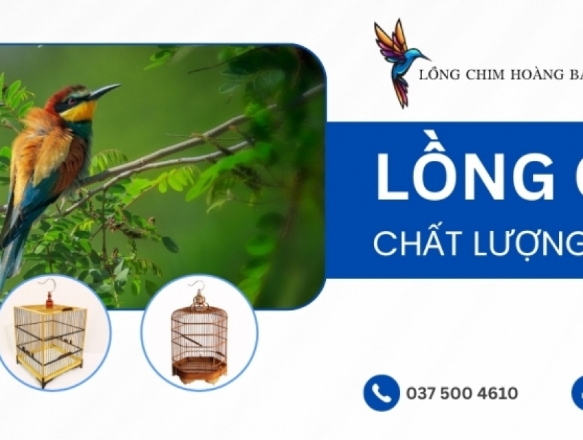 Khám Phá Vẻ Đẹp Độc Đáo của Lồng Chim Hoàng Bách
