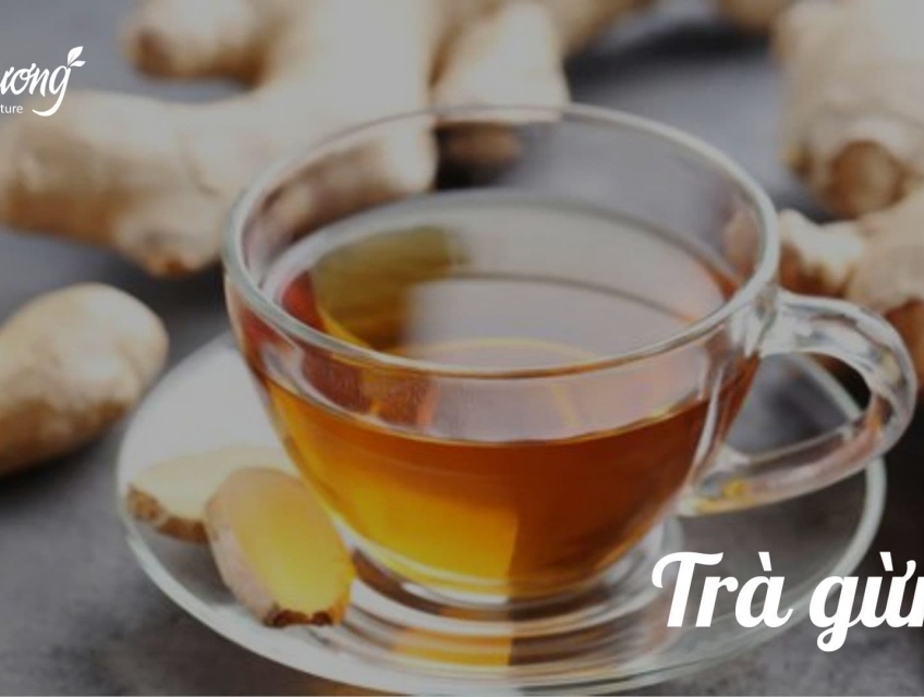 Tận hưởng hương thơm từ các loại trà thảo mộc tươi mát