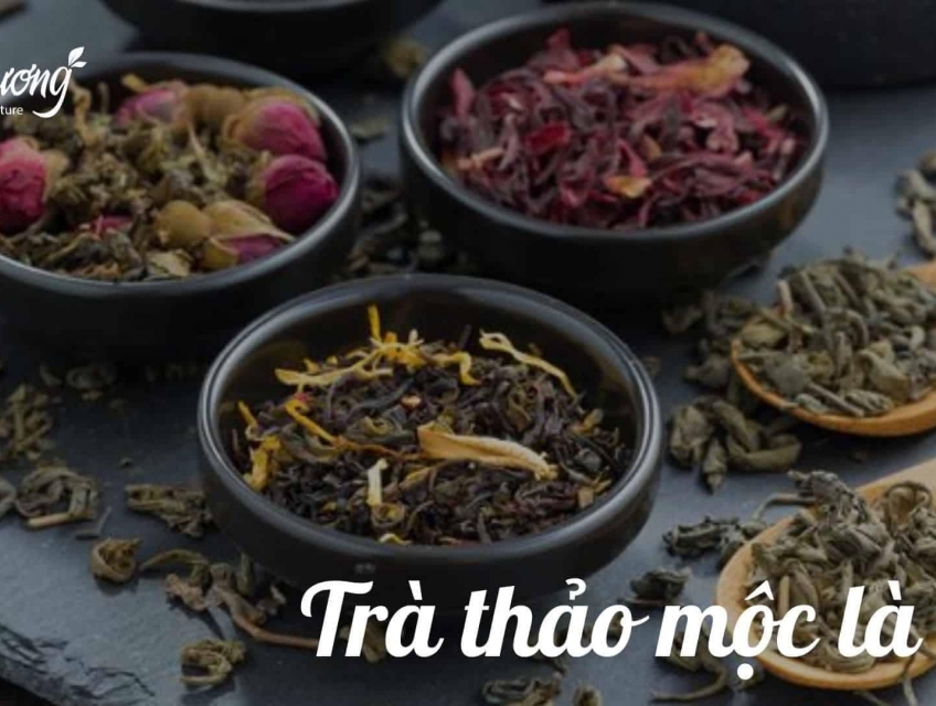 Trà thảo mộc là gì? Khám phá điều thú vị về trà thảo mộc