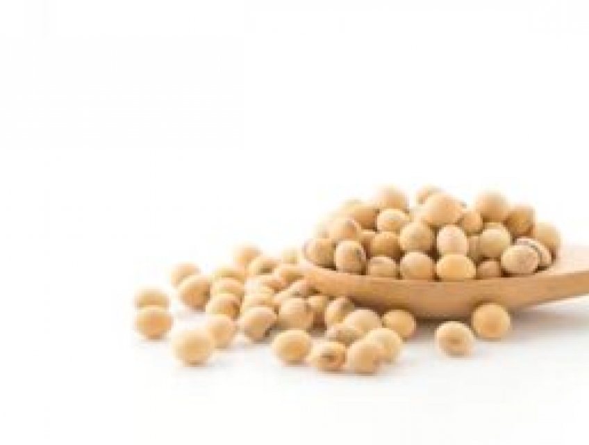 Hạt đậu nành bao nhiêu calo ăn nhiều có béo không
