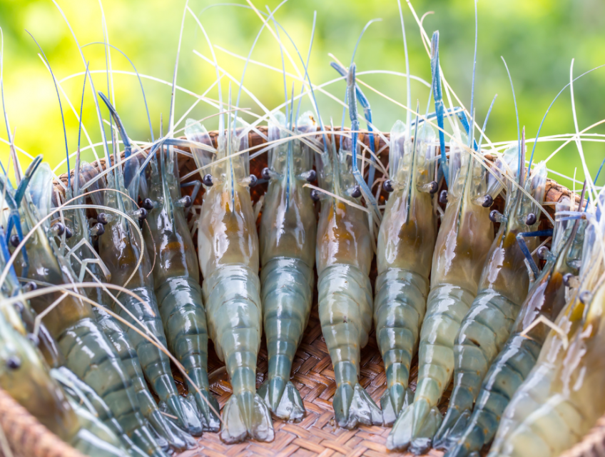 Cách nấu cháo tôm cho bé ăn dặm, thơm ngon bổ dưỡng.