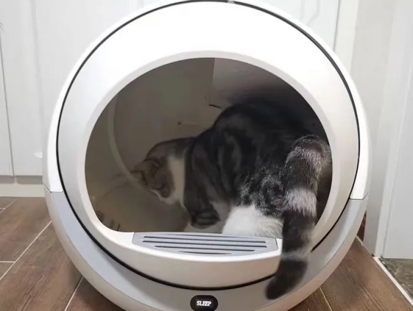 Máy dọn vệ sinh mèo ? Những tiện ích liệu bạn đã biết