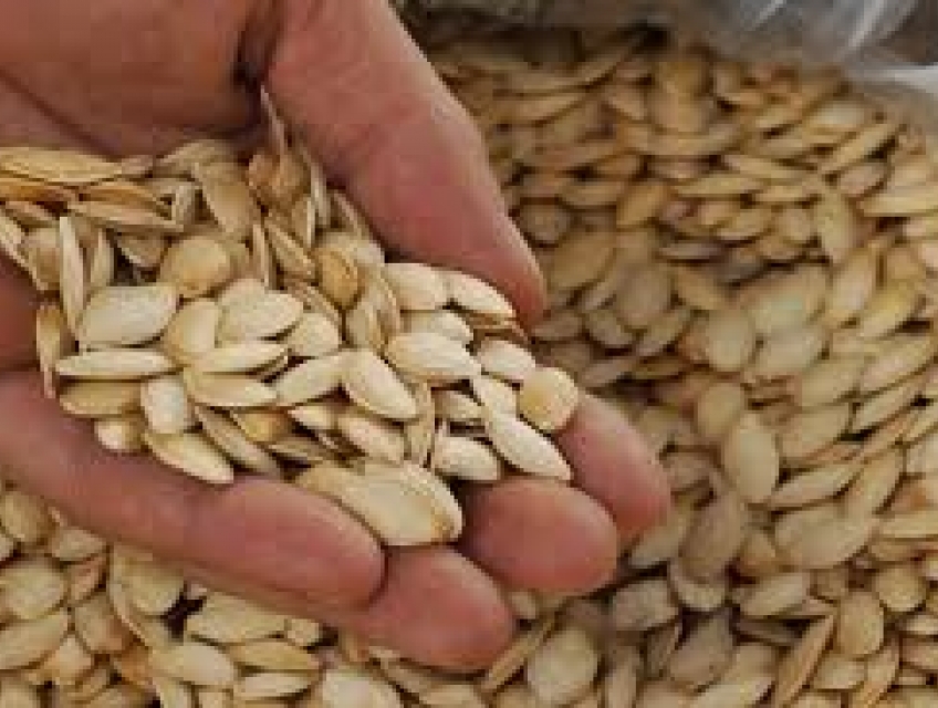 BÀ BẦU ĂN HẠT BÍ XANH CÓ ĐƯỢC KHÔNG?