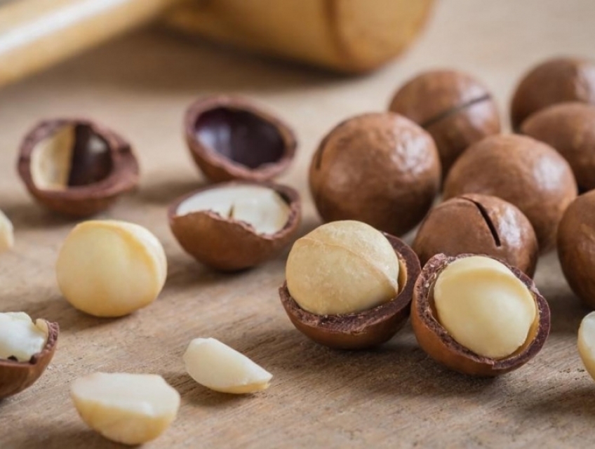 Hạt Dinh Dưỡng Và Những Lợi Ích Sức Khỏe