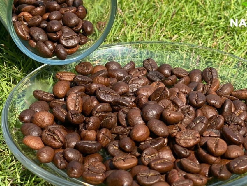 Những lợi ích từ hạt cà phê nguyên chất mang lại cho sức khỏe