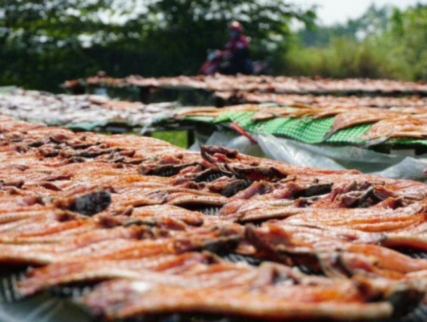 4 Bí Quyết Lựa Chọn Khô Cá Lóc Ngon Đúng Cách